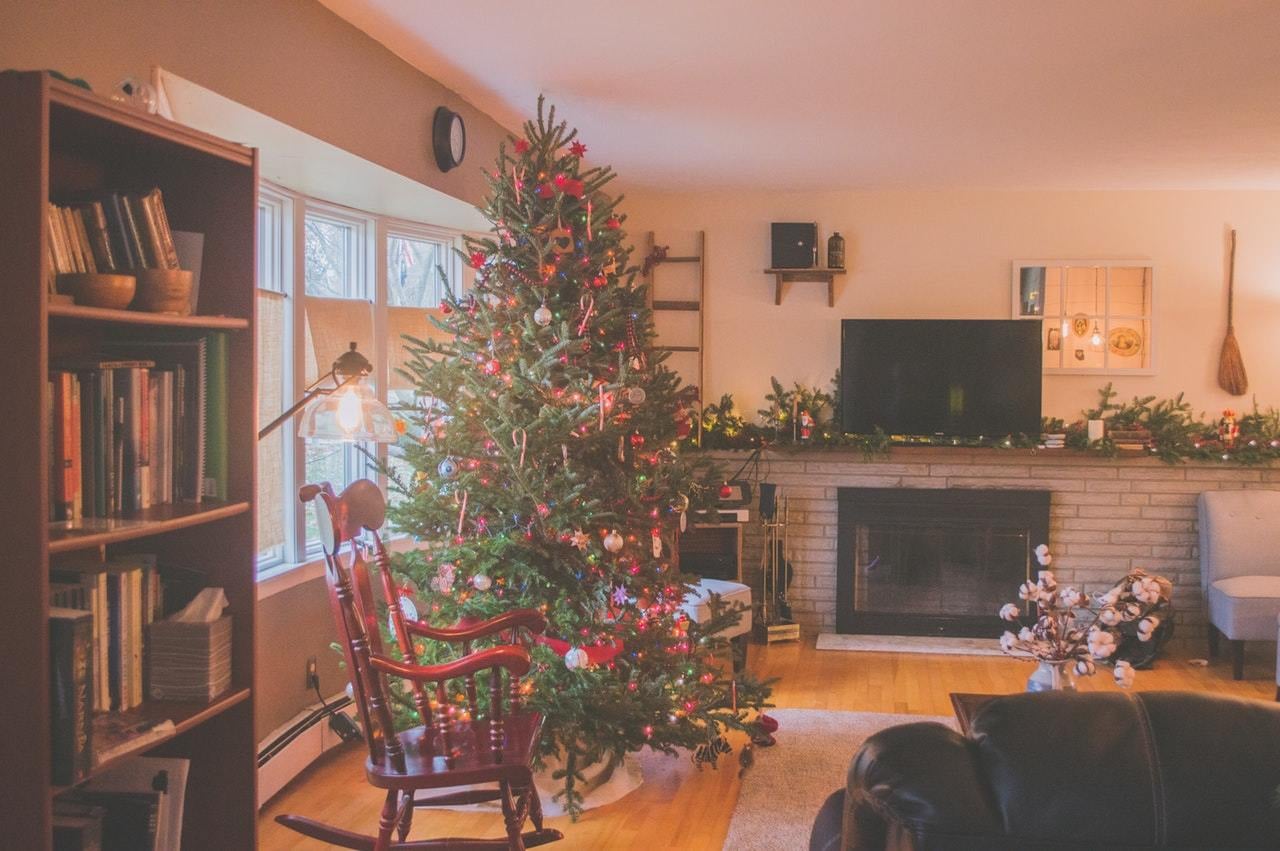 Damit Ihr Weihnachtsbaum möglichst lange nicht zu nadeln beginnt